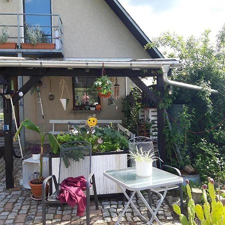 Ferienwohnung Auf Dem Land Rochlitz Bagian luar foto