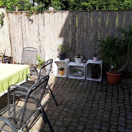 Ferienwohnung Auf Dem Land Rochlitz Bagian luar foto