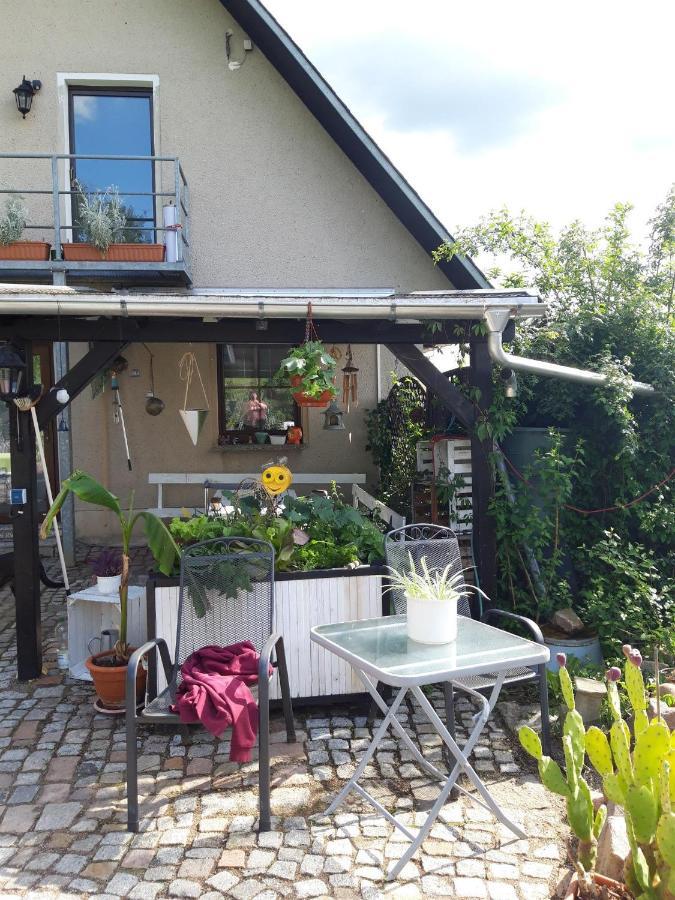 Ferienwohnung Auf Dem Land Rochlitz Bagian luar foto