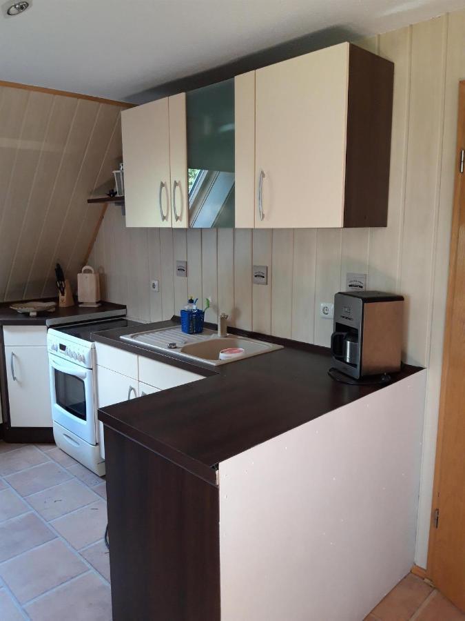 Ferienwohnung Auf Dem Land Rochlitz Bagian luar foto