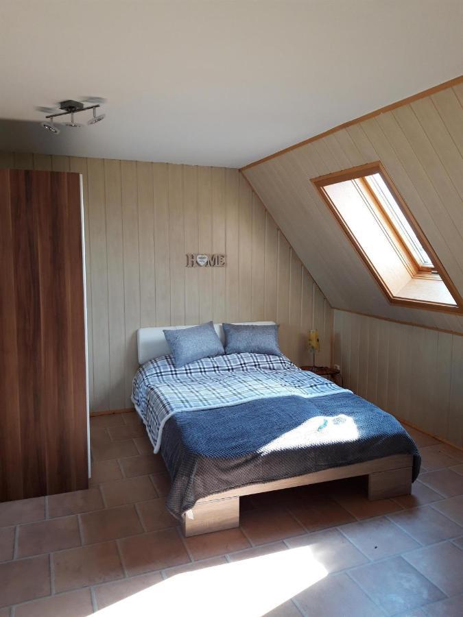 Ferienwohnung Auf Dem Land Rochlitz Bagian luar foto